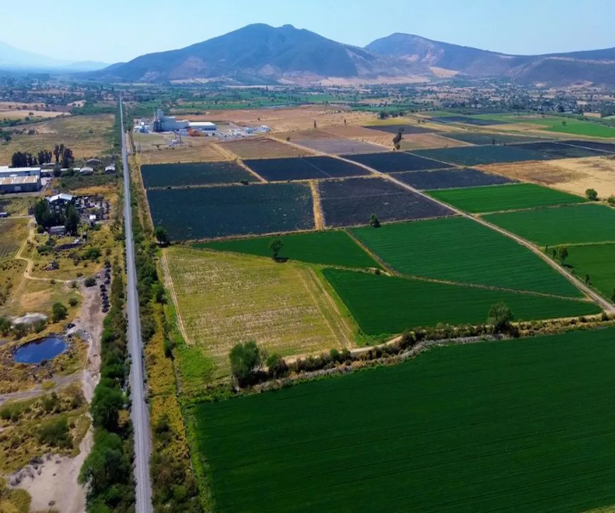 Terreno En Venta,Carretera Guadalajara Ocotlan S/N, Poncitlán, Jalisco 45954,Carretera Guadalajara Ocotlan,pPd1eLb