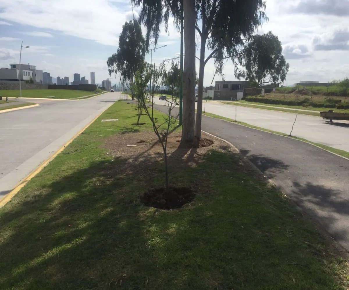 Casa En Venta,Puerta Plata,Avenida Universidad 2662 24, Zapopan, Jalisco 45110, 4 Habitaciones,6 Baños,Avenida Universidad,3,p66ic12