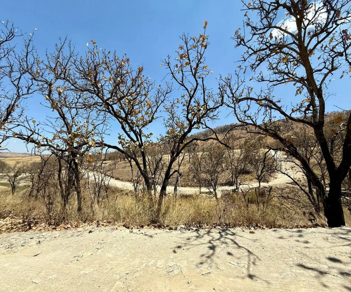 Terreno En Venta,Haciendas de Montecello,Carretera a Colotlán Km. 13.5, Zapopan, Jalisco 45200,Carretera a Colotlán,pKUIPO9