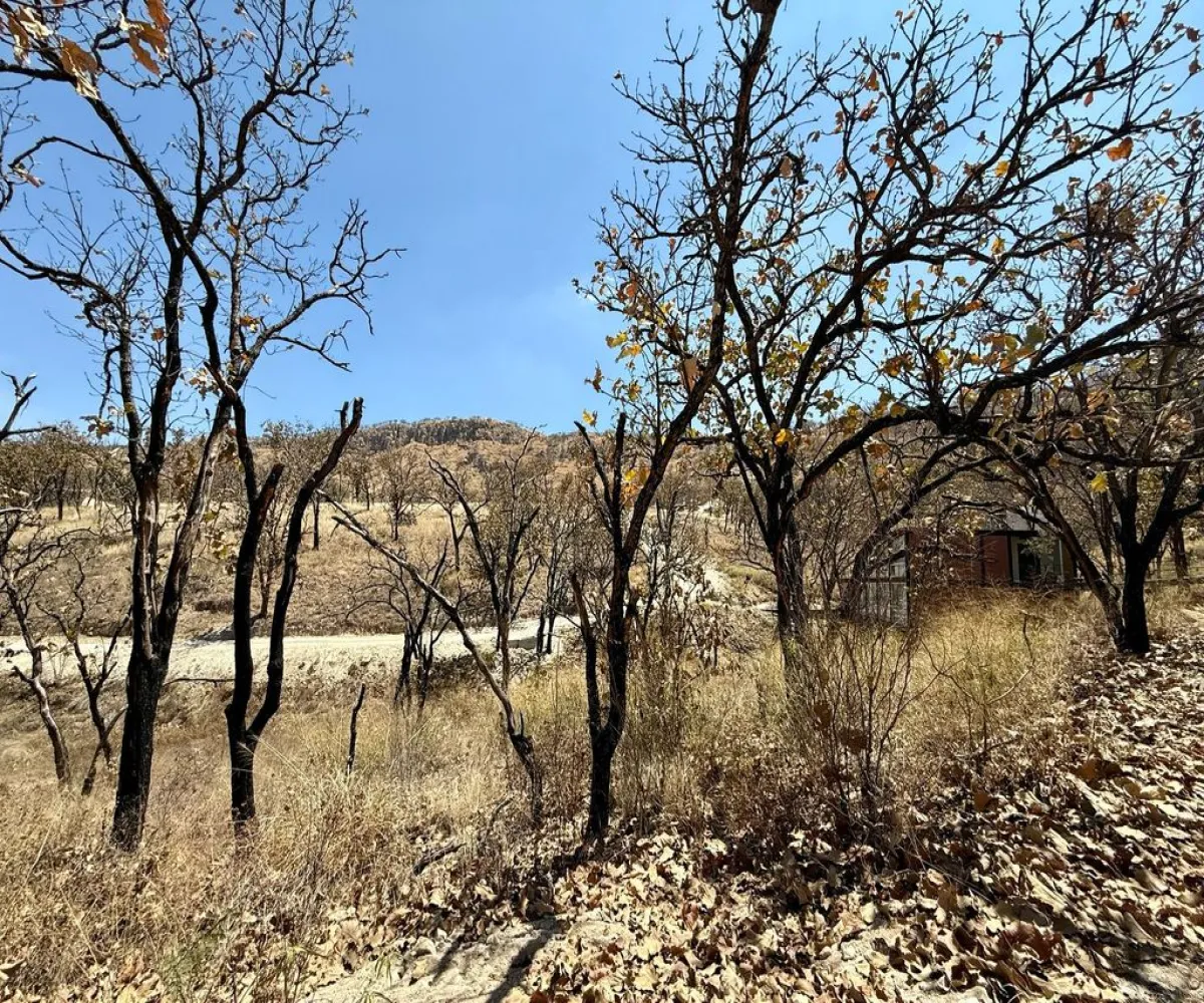 Terreno En Venta,Haciendas de Montecello,Carretera a Colotlán Km. 13.5, Zapopan, Jalisco 45200,Carretera a Colotlán,pKUIPO9