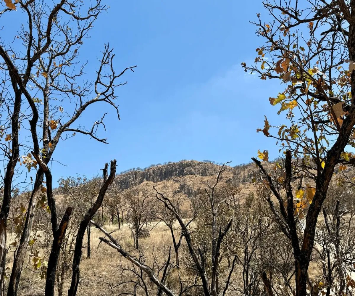 Terreno En Venta,Haciendas de Montecello,Carretera a Colotlán Km. 13.5, Zapopan, Jalisco 45200,Carretera a Colotlán,pKUIPO9