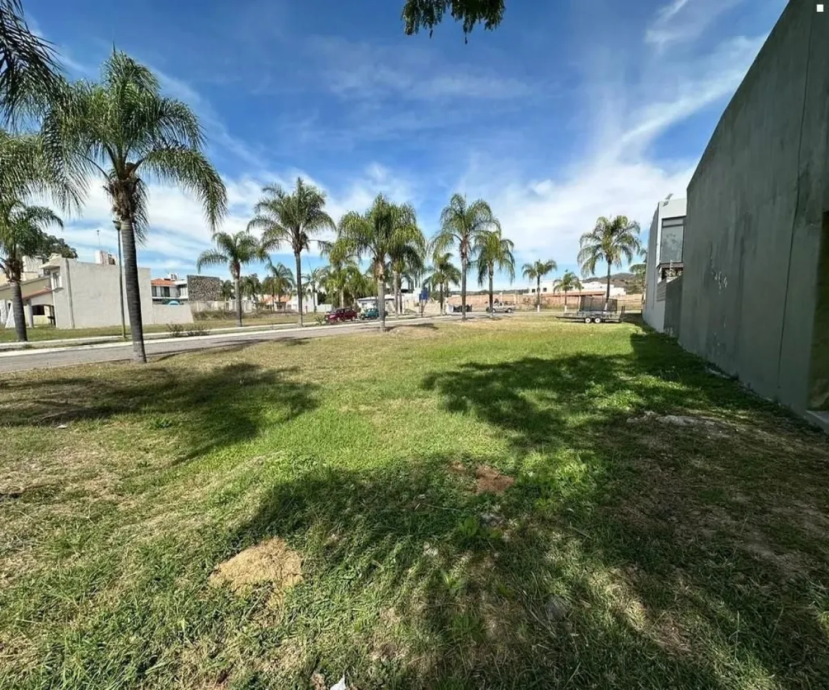 Terreno En Venta,LA NORIA DE LOS REYES,FELIPE II MANZANA 9 LOTE 8, Tlajomulco de Zúñiga, Jalisco 45670,FELIPE II,pTdAClO