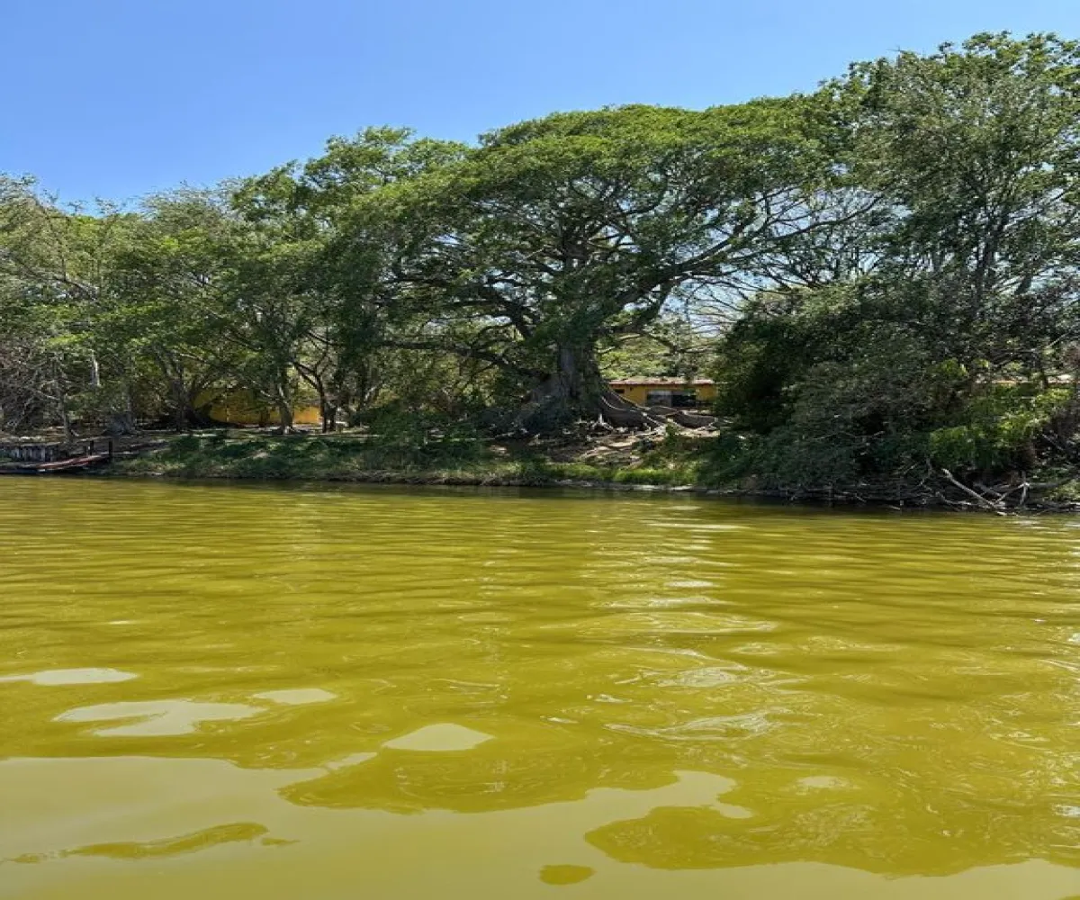 Terreno En Venta,La Laguna,Rivera del lago 650 lote 2, Santa María del Oro, Nayarit 63865,Rivera del lago ,pJHwR8d