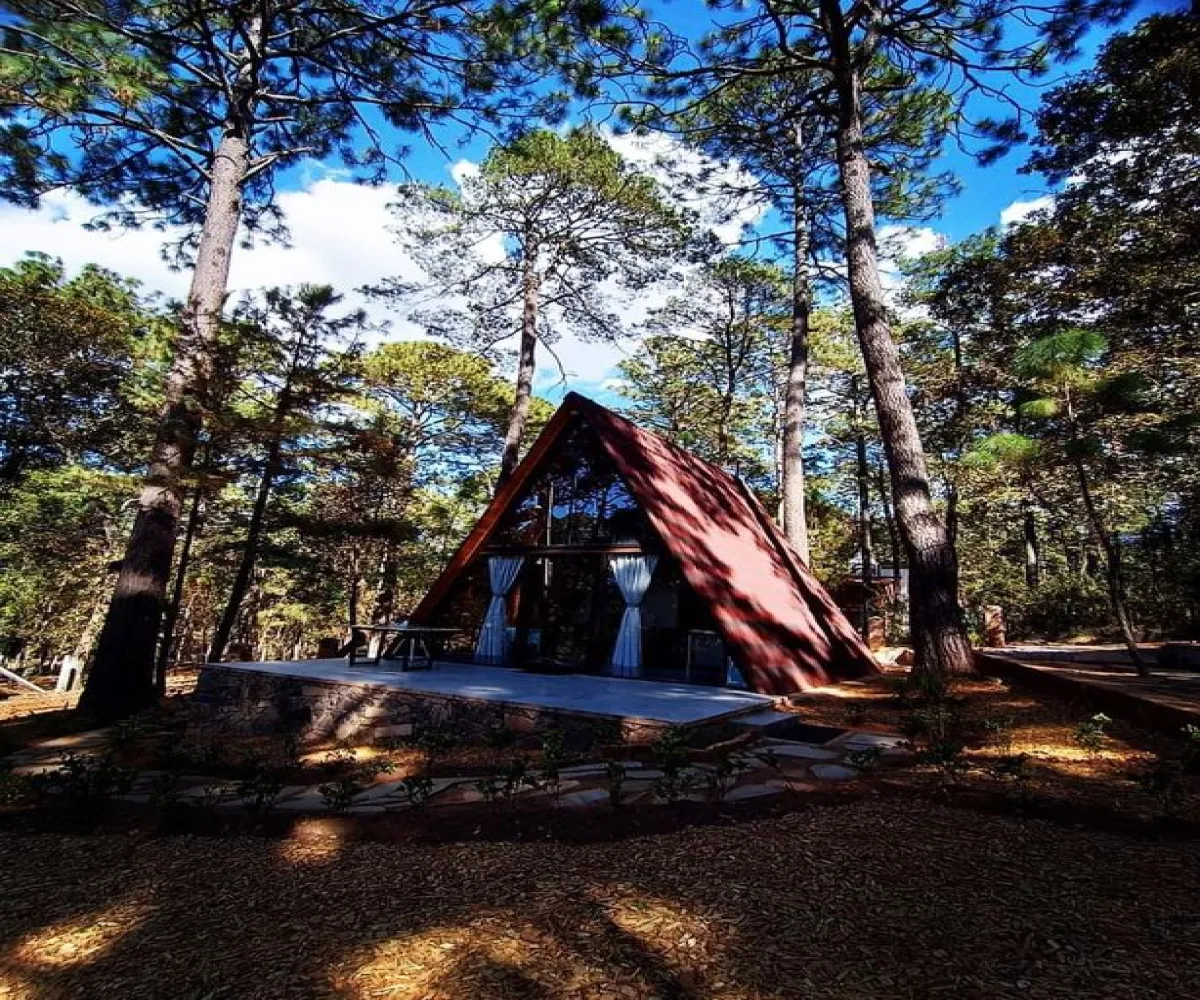 Casa En Venta,Los Espinos,Los espinos 1, Tapalpa, Jalisco 49346, 6 Habitaciones,5 Baños,Los espinos ,2,pS4ZCdq