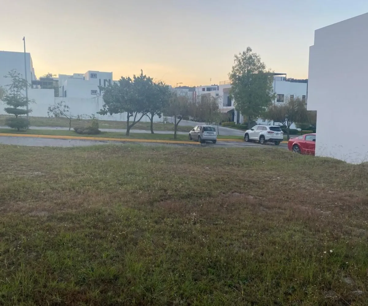 Terreno En Venta,Los Robles,Circuito de Los Pinos 163 163, Zapopan, Jalisco 45230,Circuito de Los Pinos,pYt55ln