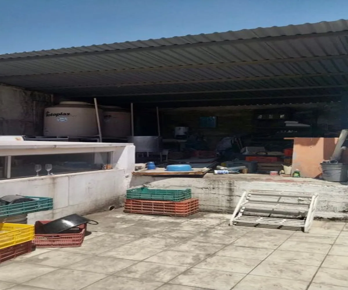 Bodega En Venta,Centro Barranquitas,Calle General Arteaga 27, Guadalajara, Jalisco 44270,2 Baños,Calle General Arteaga,2,pvjEWK8