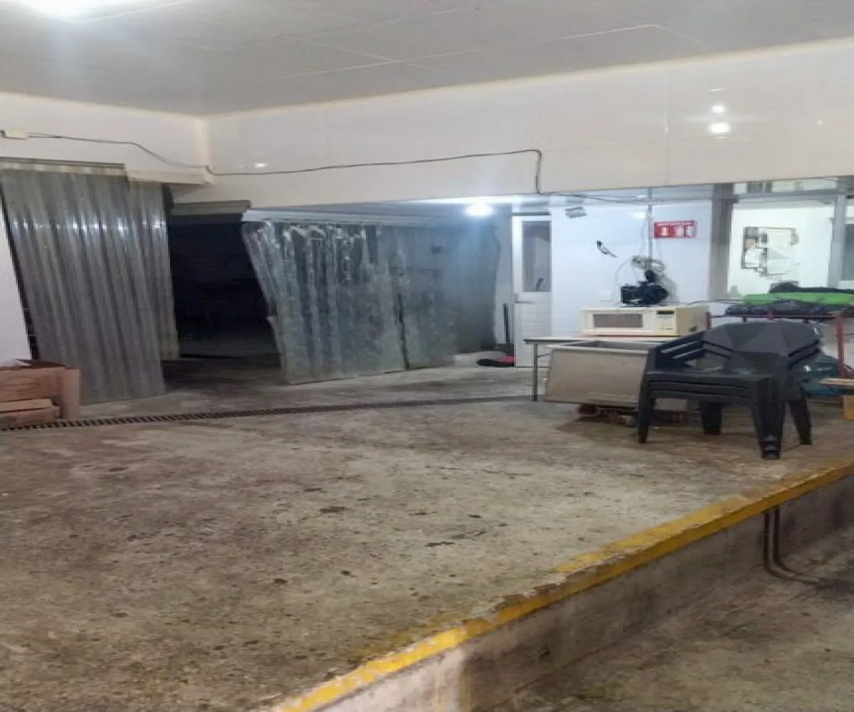 Bodega En Venta,Centro Barranquitas,Calle General Arteaga 27, Guadalajara, Jalisco 44270,2 Baños,Calle General Arteaga,2,pvjEWK8