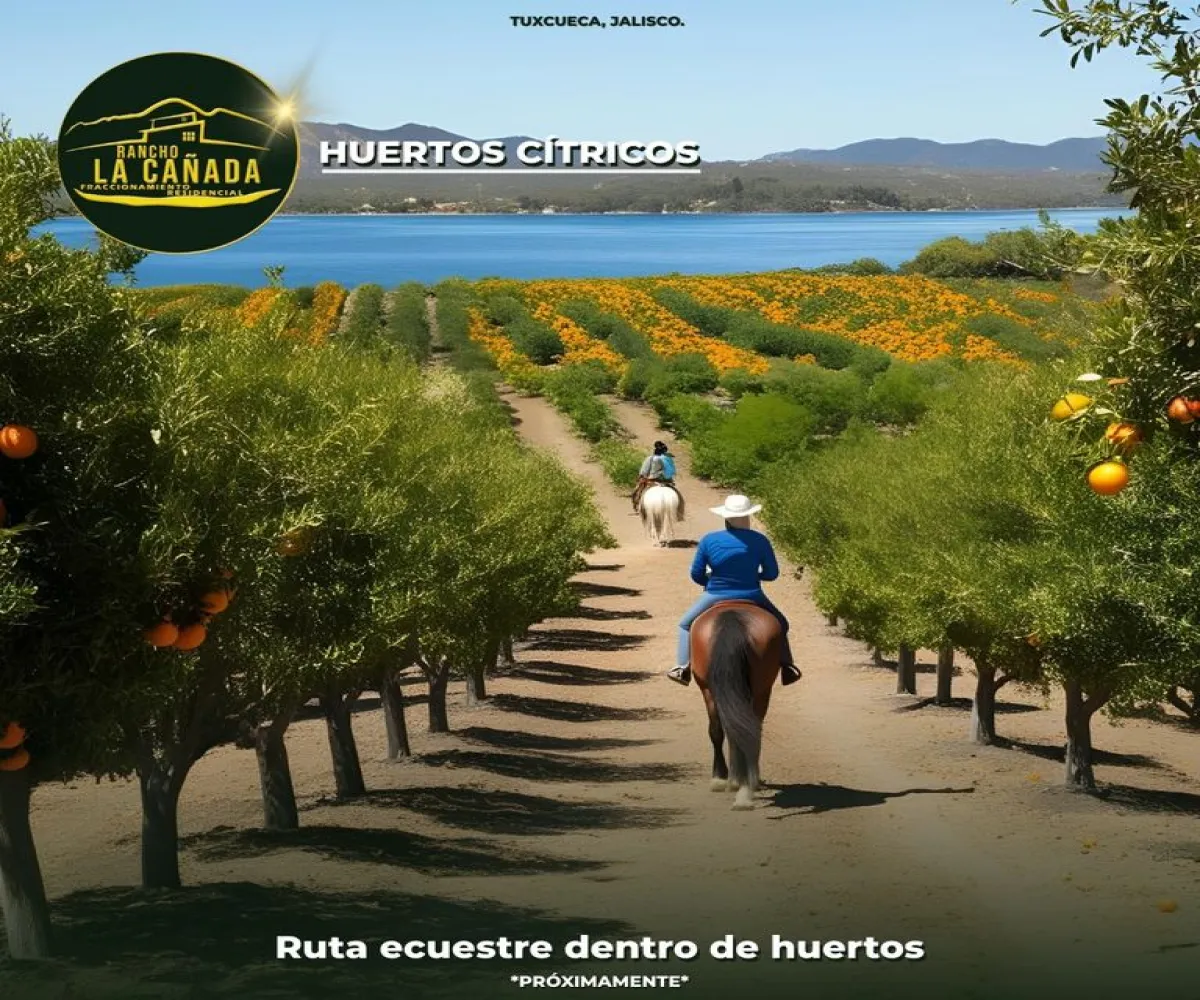 Terreno En Venta,San Luis Soyatlan ,Ramón corona Na NA, Tuxcueca, Jalisco 49430,Ramón corona ,pjVV6Lz