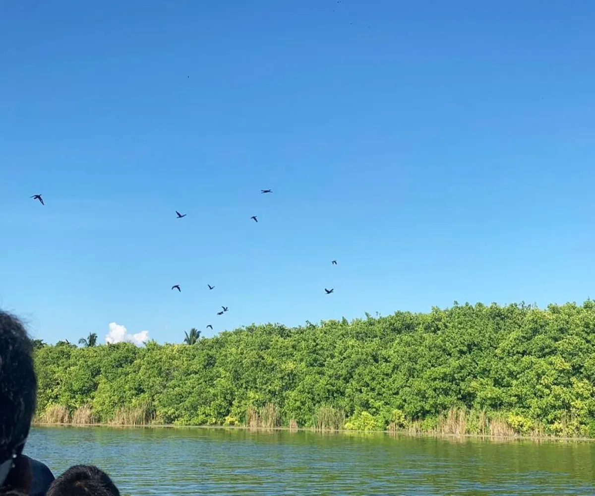 Casa En Venta,Cuyutlán,Av. Adolfo Lopez Mateos 620, Armería, Colima 28350, 3 Habitaciones,2 Baños,Av. Adolfo Lopez Mateos,2,pGAxpC9