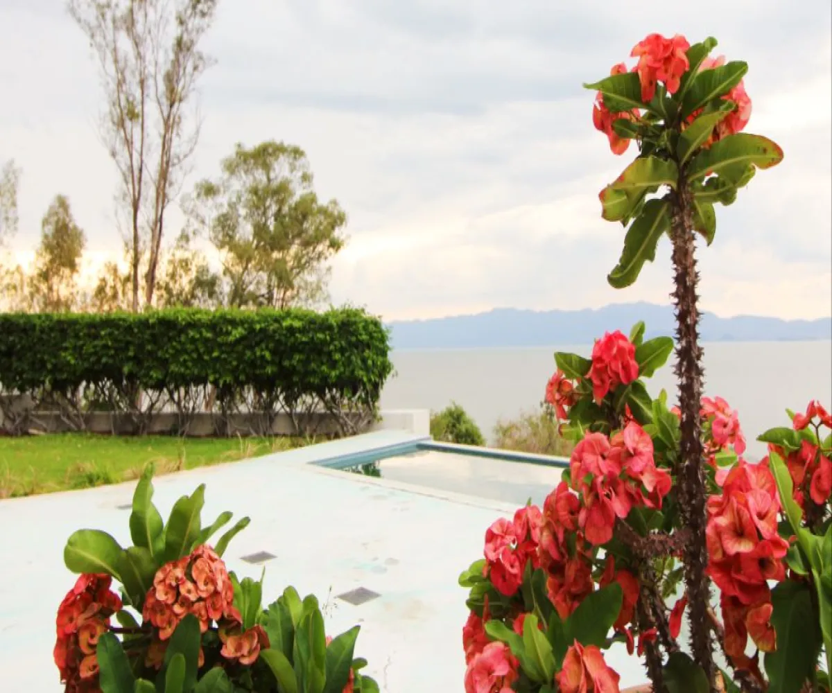 Terreno En Venta,Tizapán el Alto,Carr. Guadalajara Morelia KM 584 SN, Tuxcueca, Jalisco 49430, 4 Habitaciones,4 Baños,Carr. Guadalajara Morelia KM 584,1,pOut7gl