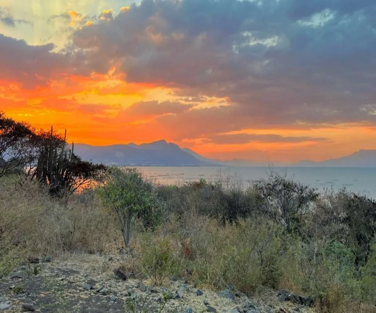 Terreno En Venta,Tizapán el Alto,Carr. Guadalajara Morelia KM 584 SN, Tuxcueca, Jalisco 49430, 4 Habitaciones,4 Baños,Carr. Guadalajara Morelia KM 584,1,pOut7gl