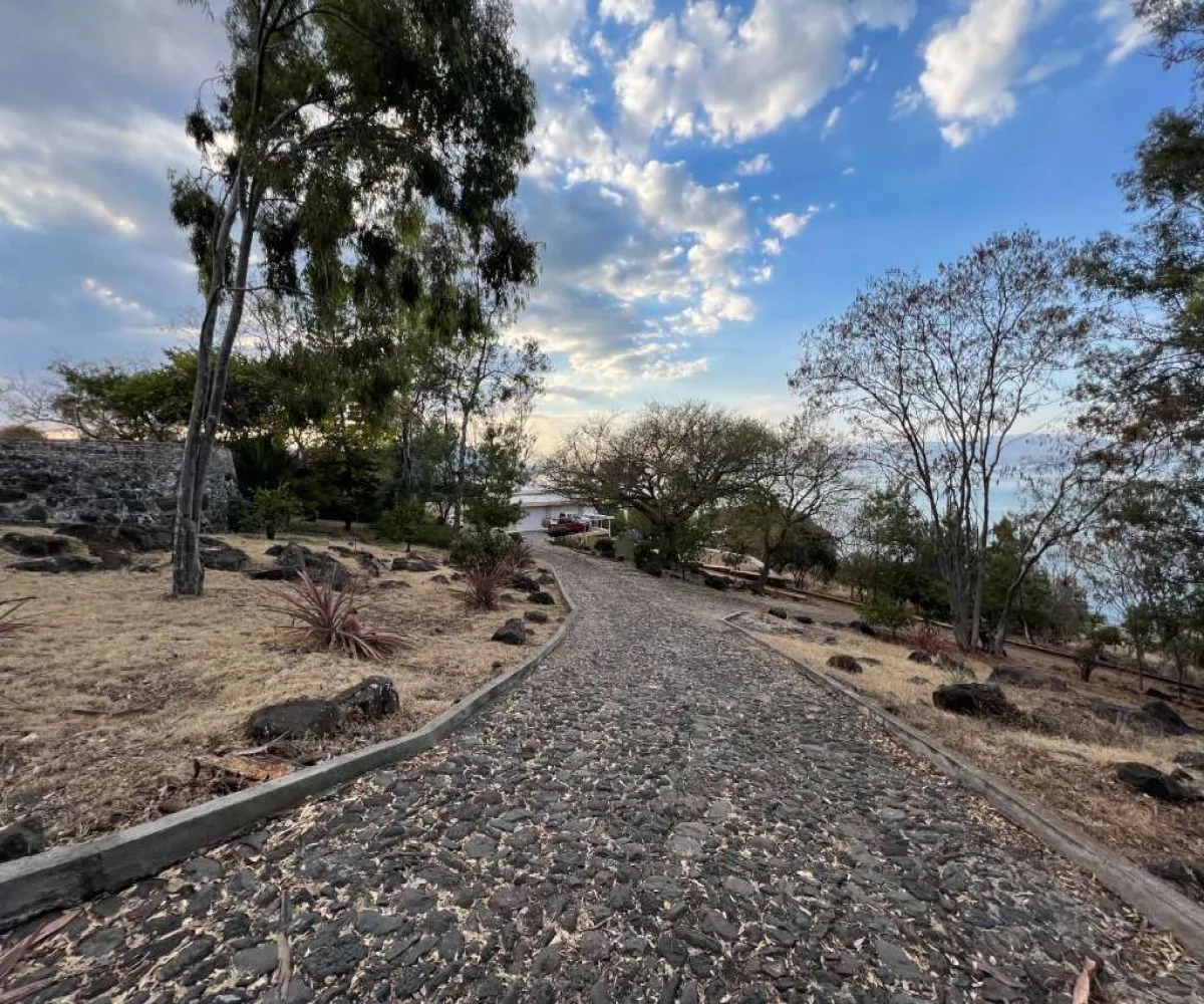 Terreno En Venta,Tizapán el Alto,Carr. Guadalajara Morelia KM 584 SN, Tuxcueca, Jalisco 49430, 4 Habitaciones,4 Baños,Carr. Guadalajara Morelia KM 584,1,pOut7gl