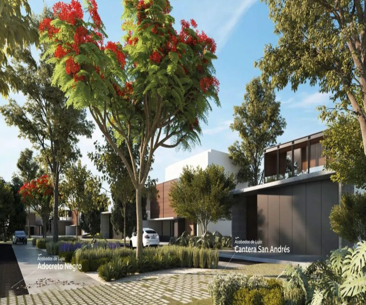 Terreno En Venta,Hacienda San Acacio,San Acácio S/N, Zapopan, Jalisco 45134,San Acácio ,pcoh5dL