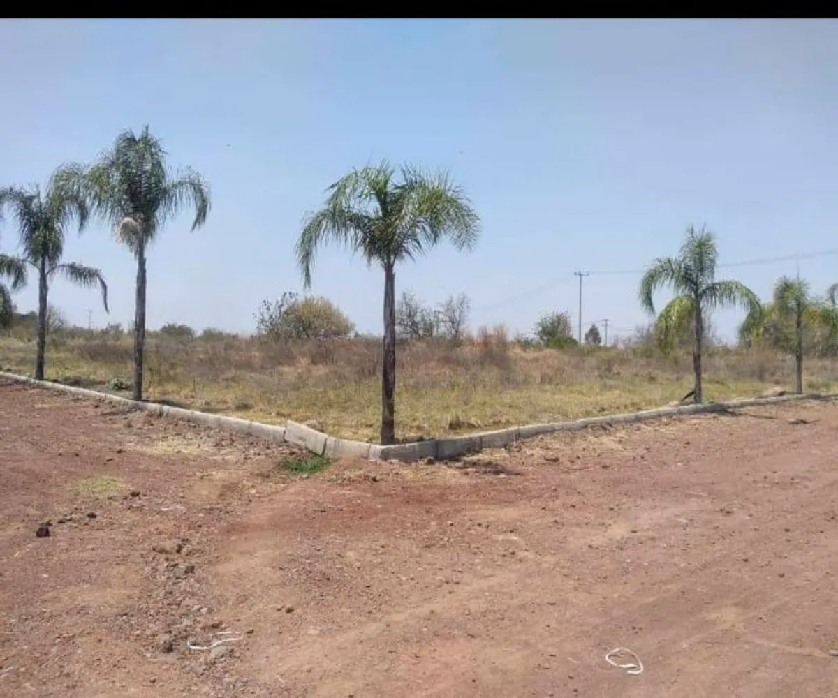 Terreno En Venta,PREDIO LA AURORA,las palmas S/N, Juanacatlán, Jalisco 45880,las palmas,pYVIO94