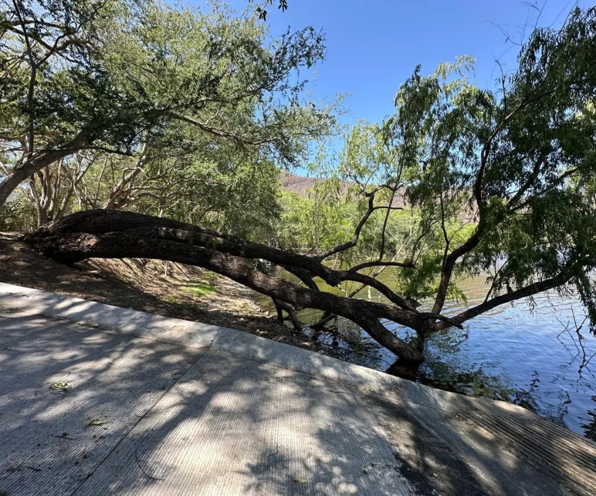 Terreno En Venta,La Laguna,Camino a Koala Bungalows S/N Lote 3, Santa María del Oro, Nayarit 63865,Camino a Koala Bungalows,pS56dmN