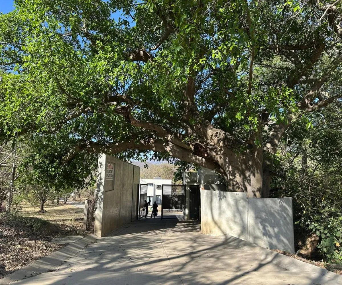 Terreno En Venta,La Laguna,Camino a Koala Bungalows S/N Lote 3, Santa María del Oro, Nayarit 63865,Camino a Koala Bungalows,pS56dmN