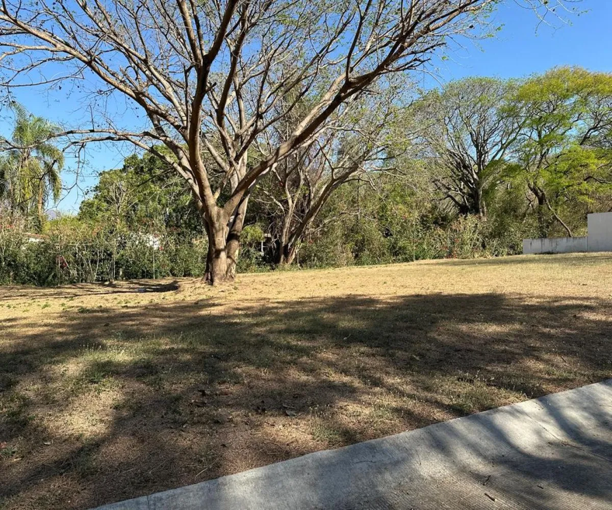 Terreno En Venta,La Laguna,Camino a Koala Bungalows S/N Lote 3, Santa María del Oro, Nayarit 63865,Camino a Koala Bungalows,pS56dmN