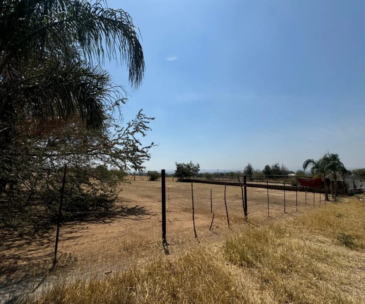 Terreno En Venta,Matatlán,Carretera Matatlán s/n, Zapotlanejo, Jalisco 45430,Carretera Matatlán,p8Ui9in