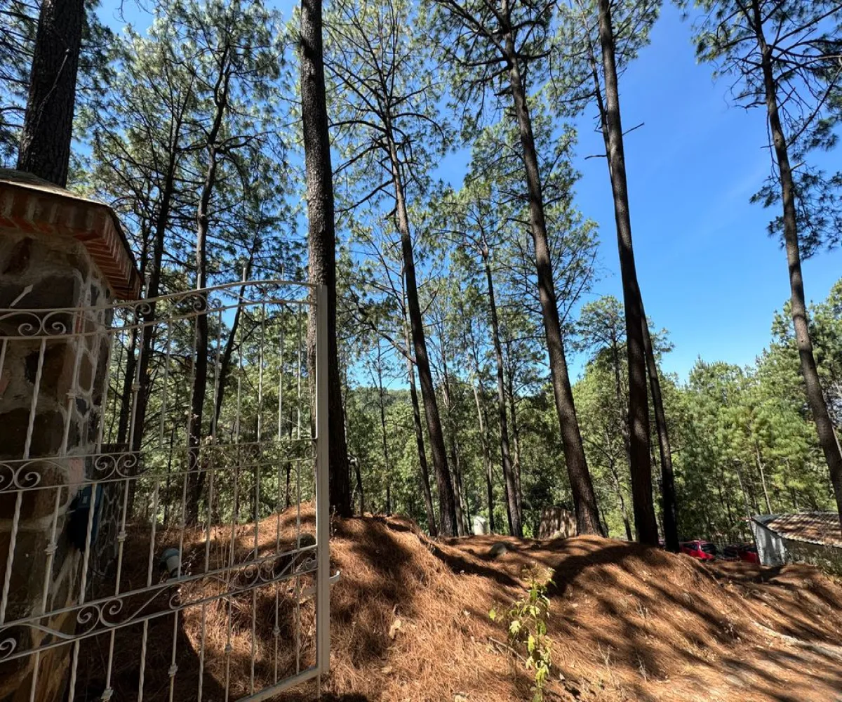 Terreno En Venta,Mazamitla,Loma Blanca 2723, Mazamitla, Jalisco 49500,Loma Blanca,pABlUD1