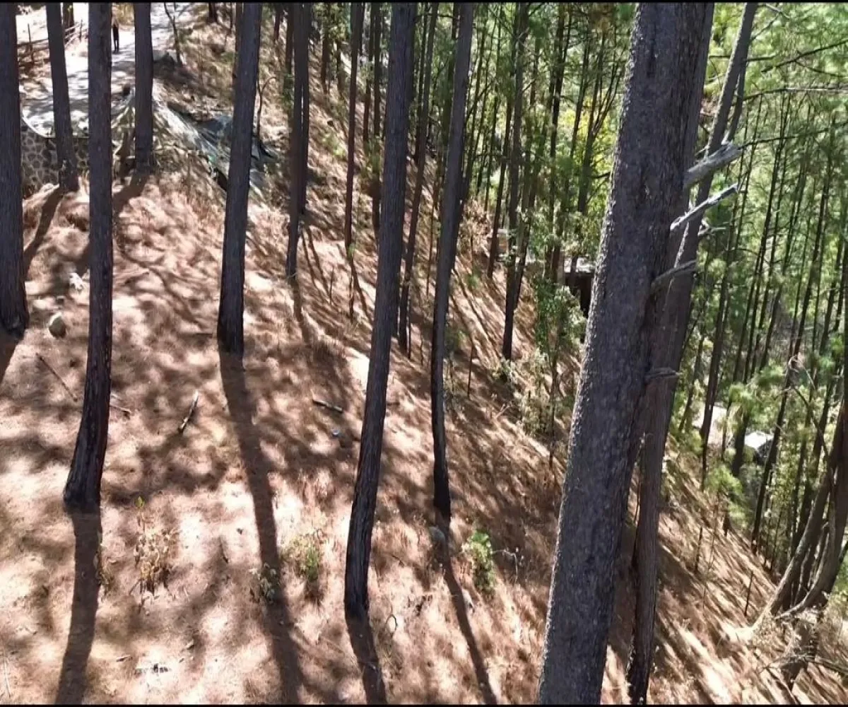 Terreno En Venta,Mazamitla,Loma Blanca 2723, Mazamitla, Jalisco 49500,Loma Blanca,pABlUD1