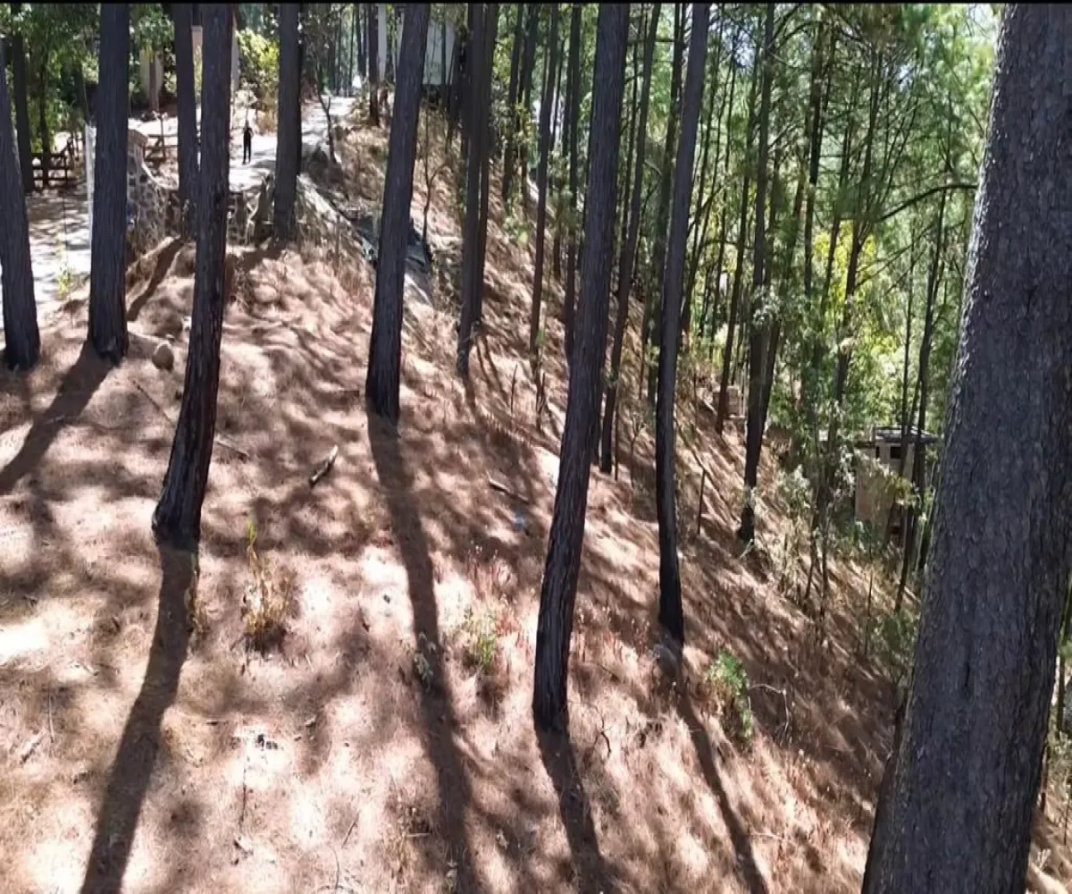 Terreno En Venta,Mazamitla,Loma Blanca 2723, Mazamitla, Jalisco 49500,Loma Blanca,pABlUD1