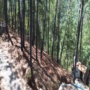 Terreno En Venta,Mazamitla,Loma Blanca 2723, Mazamitla, Jalisco 49500,Loma Blanca,pABlUD1