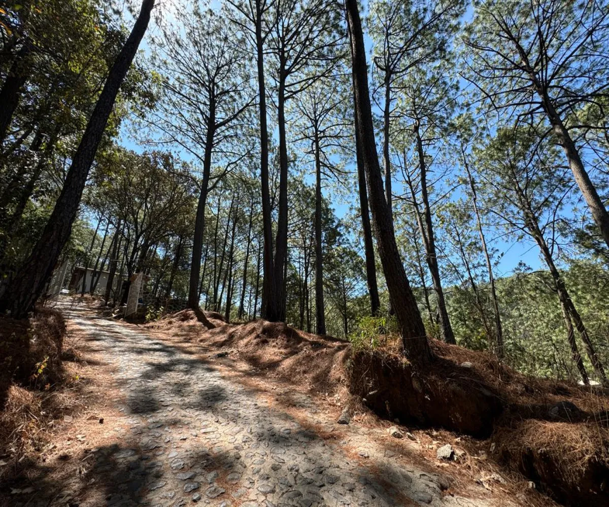 Terreno En Venta,Mazamitla,Loma Blanca 2723, Mazamitla, Jalisco 49500,Loma Blanca,pABlUD1