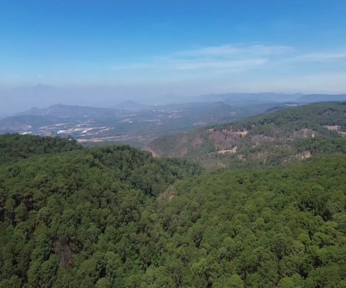 Terreno En Venta,Mazamitla,Loma Blanca 2723, Mazamitla, Jalisco 49500,Loma Blanca,pABlUD1