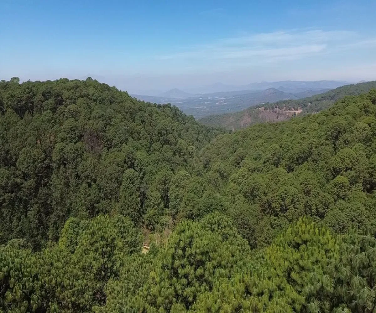 Terreno En Venta,Mazamitla,Loma Blanca 2723, Mazamitla, Jalisco 49500,Loma Blanca,pABlUD1