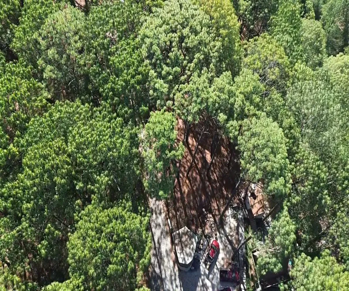 Terreno En Venta,Mazamitla,Loma Blanca 2723, Mazamitla, Jalisco 49500,Loma Blanca,pABlUD1