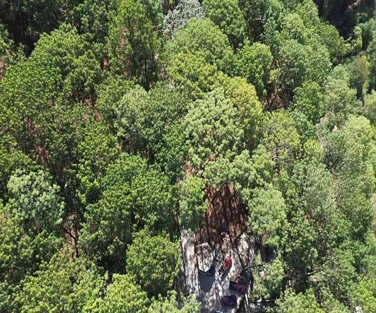 Terreno En Venta,Mazamitla,Loma Blanca 2723, Mazamitla, Jalisco 49500,Loma Blanca,pABlUD1