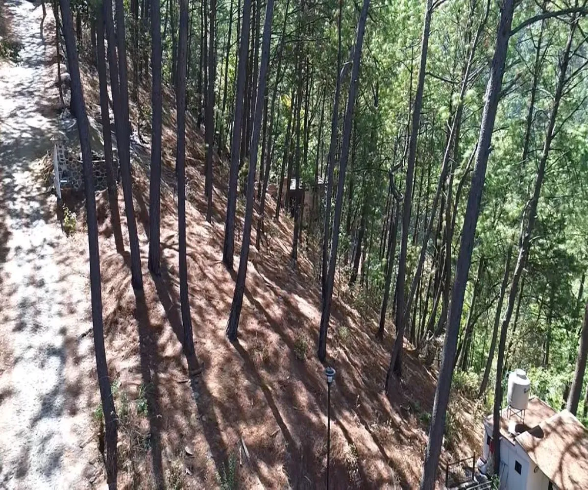 Terreno En Venta,Mazamitla,Loma Blanca 2723, Mazamitla, Jalisco 49500,Loma Blanca,pABlUD1