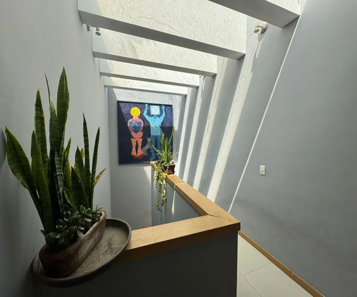 Casa En Venta,Jardín Real,Avenida Santa Margarita S/N, Zapopan, Jalisco 45136, 3 Habitaciones,3 Baños,Avenida Santa Margarita,2,pnT9FXe