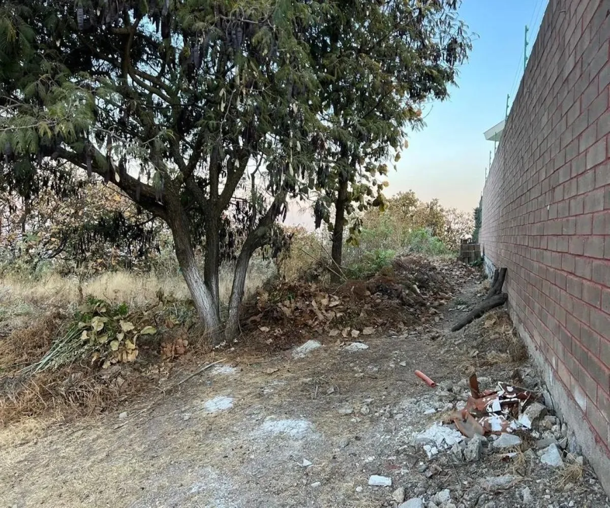 Terreno En Venta,El Palomar,Terreno el Palomar S/N, Tlajomulco de Zúñiga, Jalisco 45643,Terreno el Palomar ,pKfezy6