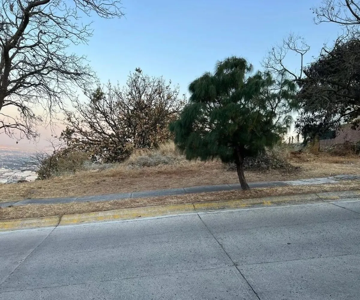 Terreno En Venta,El Palomar,Terreno el Palomar S/N, Tlajomulco de Zúñiga, Jalisco 45643,Terreno el Palomar ,pKfezy6