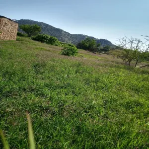 Terreno En Venta,Colinas de Tesistan,Río Blanco 6000 5000, Zapopan, Jalisco 45134,Río Blanco,paAKUkc