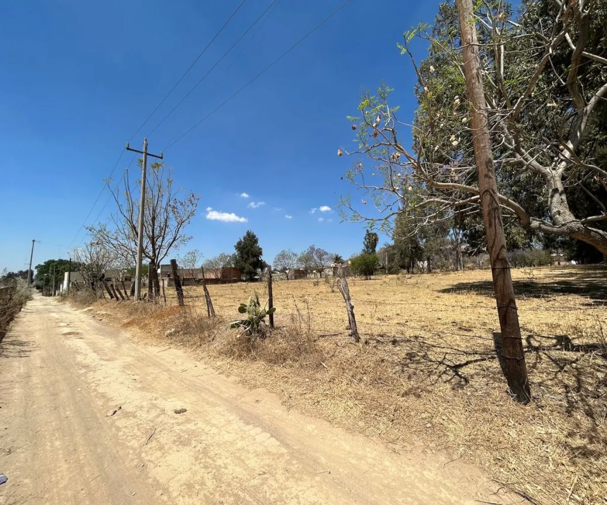 Terreno En Venta,Real de Tesistán,Calle Doctores S N, Zapopan, Jalisco 45200,Calle Doctores,pDSoJty