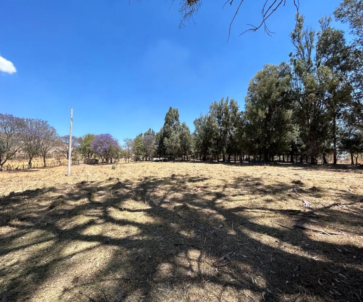 Terreno En Venta,Real de Tesistán,Calle Doctores S N, Zapopan, Jalisco 45200,Calle Doctores,pDSoJty