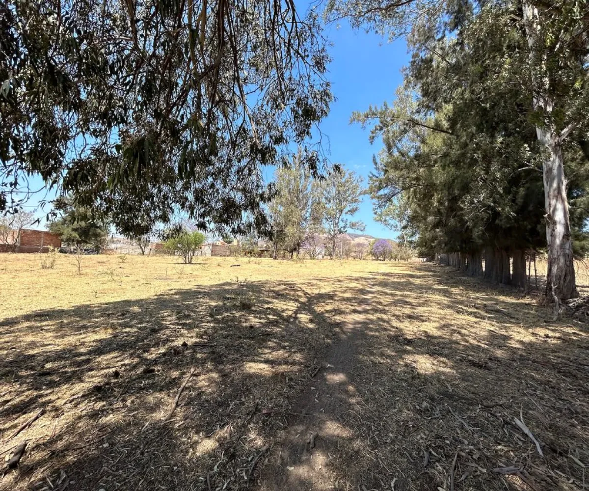 Terreno En Venta,Real de Tesistán,Calle Doctores S N, Zapopan, Jalisco 45200,Calle Doctores,pDSoJty