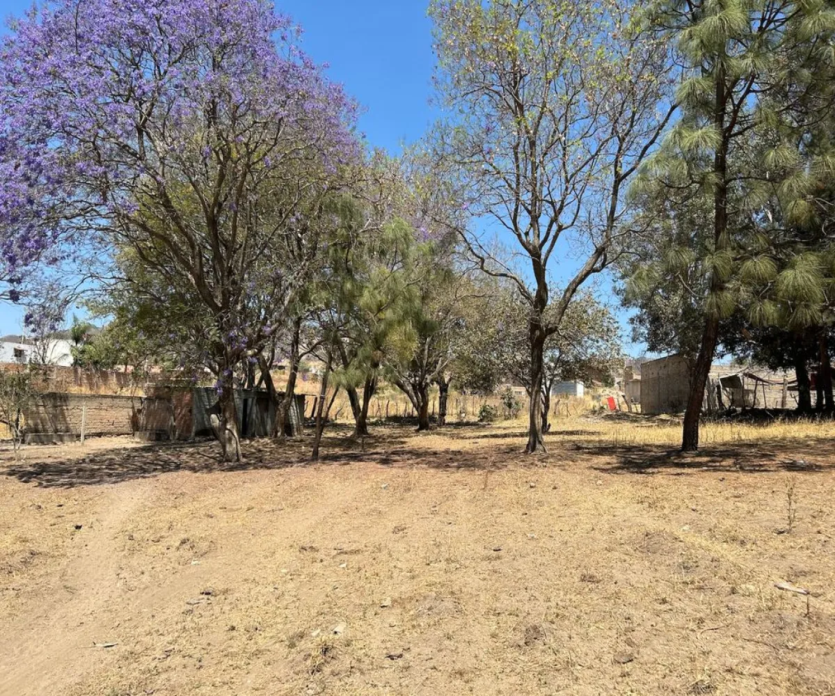 Terreno En Venta,Real de Tesistán,Calle Doctores S N, Zapopan, Jalisco 45200,Calle Doctores,pDSoJty