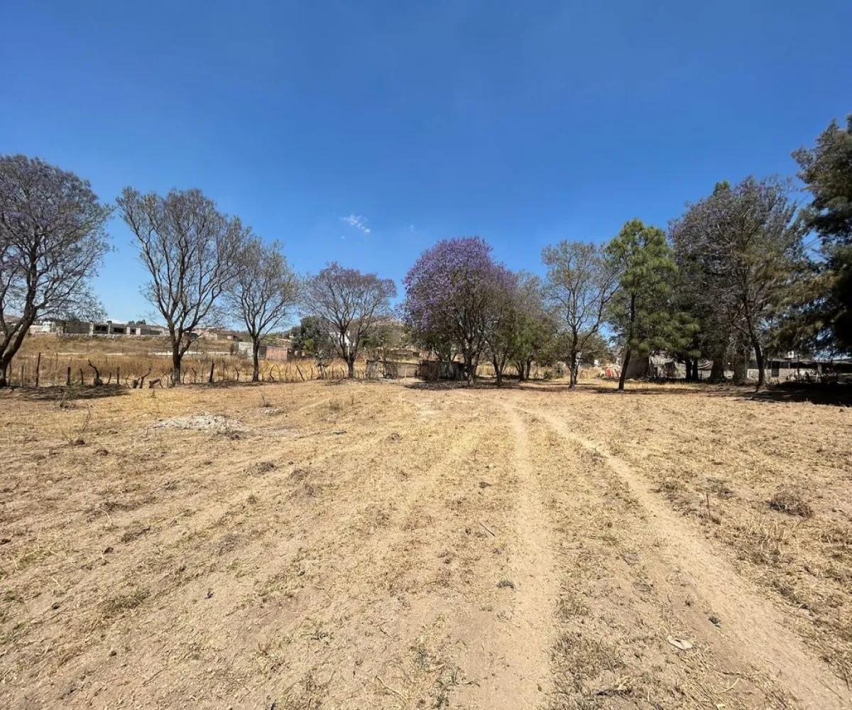 Terreno En Venta,Real de Tesistán,Calle Doctores S N, Zapopan, Jalisco 45200,Calle Doctores,pDSoJty