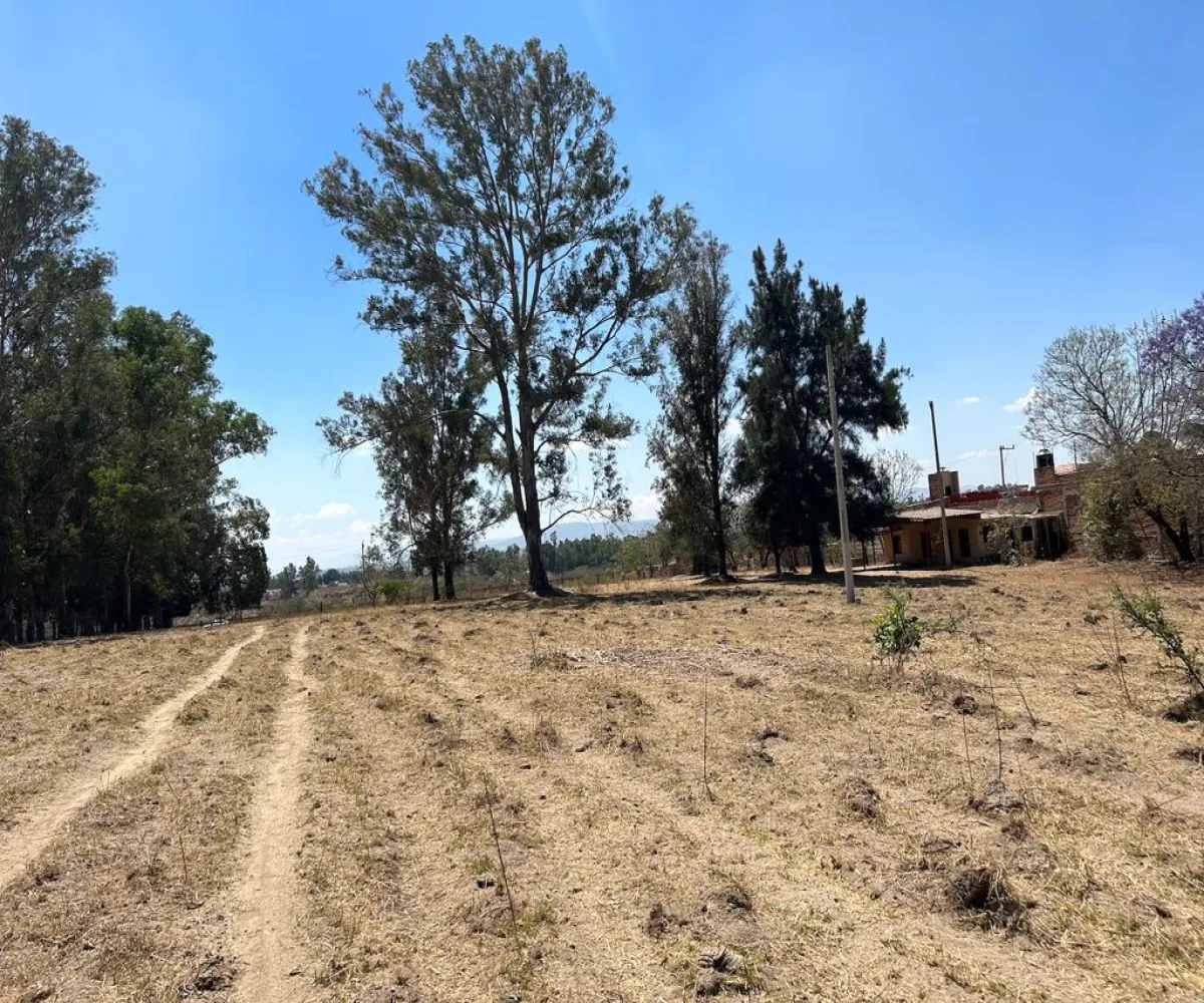 Terreno En Venta,Real de Tesistán,Calle Doctores S N, Zapopan, Jalisco 45200,Calle Doctores,pDSoJty