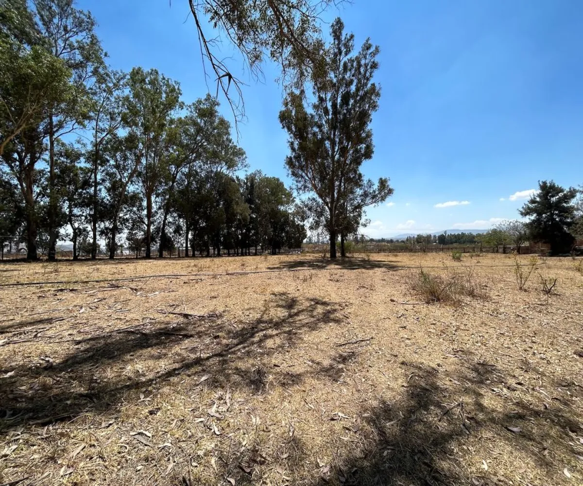 Terreno En Venta,Real de Tesistán,Calle Doctores S N, Zapopan, Jalisco 45200,Calle Doctores,pDSoJty