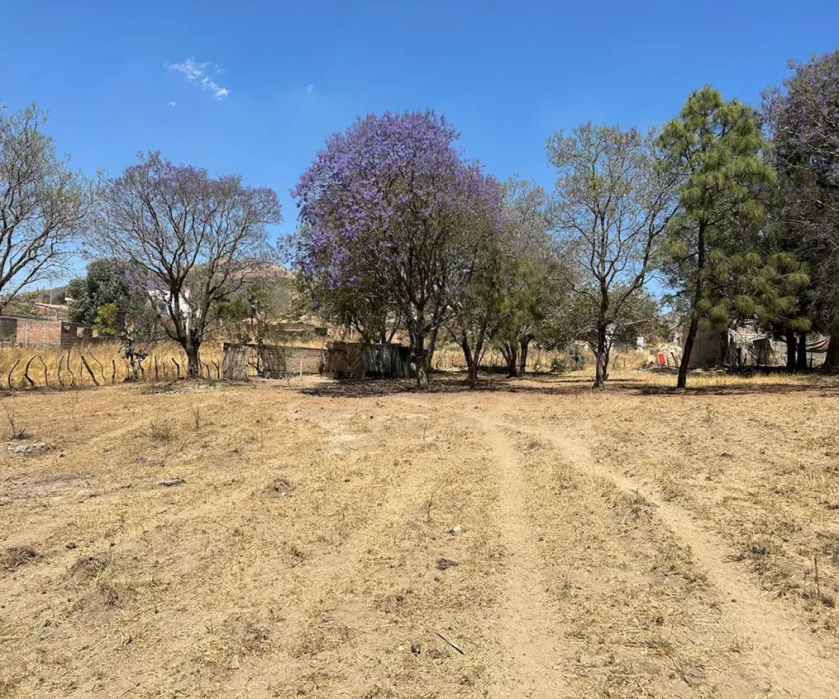 Terreno En Venta,Real de Tesistán,Calle Doctores S N, Zapopan, Jalisco 45200,Calle Doctores,pDSoJty