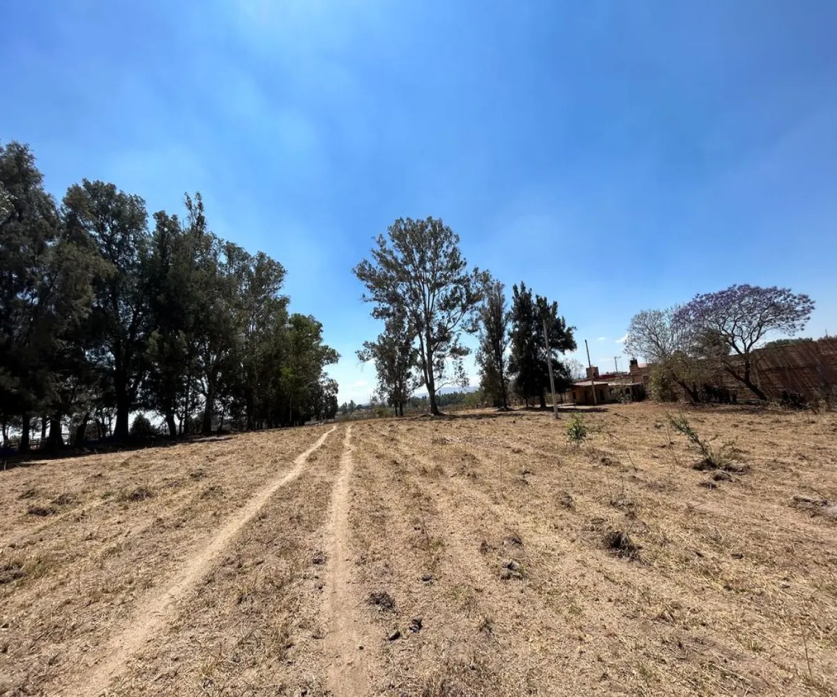 Terreno En Venta,Real de Tesistán,Calle Doctores S N, Zapopan, Jalisco 45200,Calle Doctores,pDSoJty
