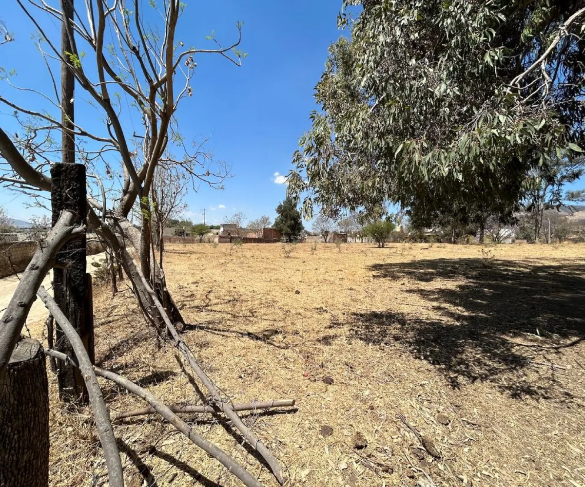 Terreno En Venta,Real de Tesistán,Calle Doctores S N, Zapopan, Jalisco 45200,Calle Doctores,pDSoJty