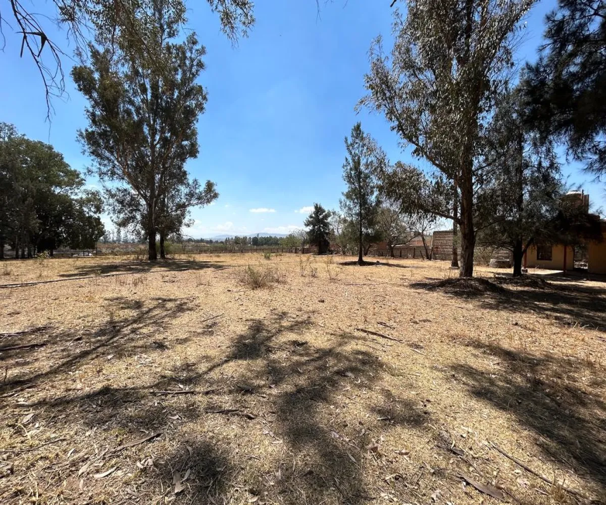 Terreno En Venta,Real de Tesistán,Calle Doctores S N, Zapopan, Jalisco 45200,Calle Doctores,pDSoJty