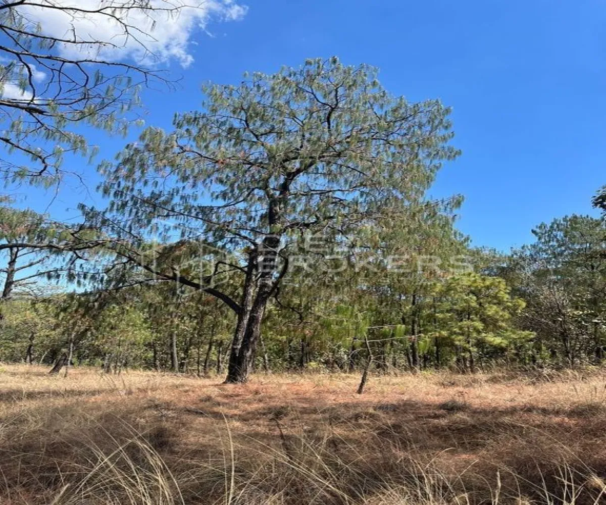 Terreno En Venta,El Calabozo,Carretera Guadalajara - Tapalpa 13, Tapalpa, Jalisco 45640,Carretera Guadalajara - Tapalpa,1,pVeRAOP