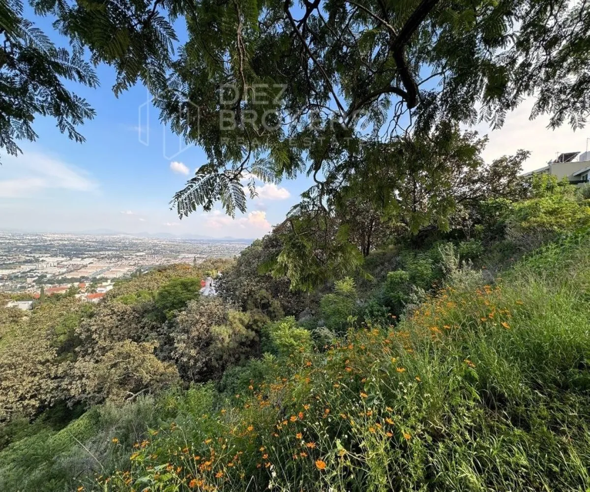 Terreno En Venta,El Palomar,Avenida Paseo del Palomar 26, Palomar, Jalisco 45643,Avenida Paseo del Palomar,1,pd54C1N Terreno En Venta,El Palomar,Avenida Paseo del Palomar 26, Palomar, Jalisco 45643,Avenida Paseo del Palomar,1,pd54C1N