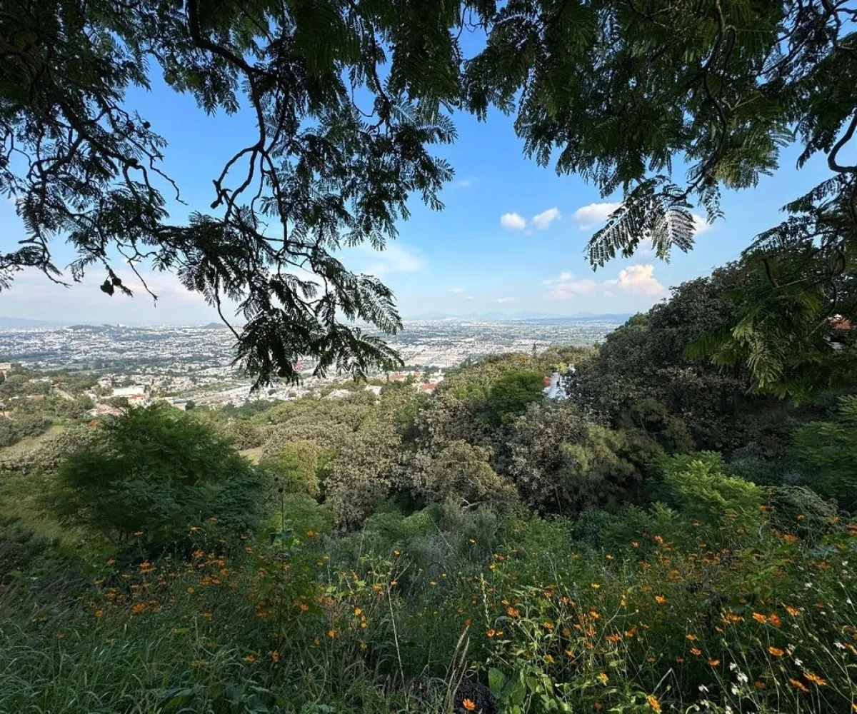 Terreno En Venta,El Palomar,Avenida Paseo del Palomar 26, Palomar, Jalisco 45643,Avenida Paseo del Palomar,1,pd54C1N Terreno En Venta,El Palomar,Avenida Paseo del Palomar 26, Palomar, Jalisco 45643,Avenida Paseo del Palomar,1,pd54C1N